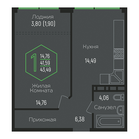 1 комнатная 43.49м²