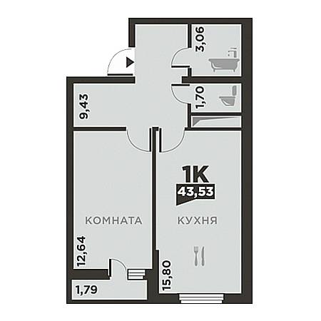 1 комнатная 43.53м²