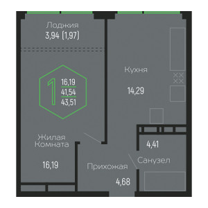 1 комнатная 43.51м²