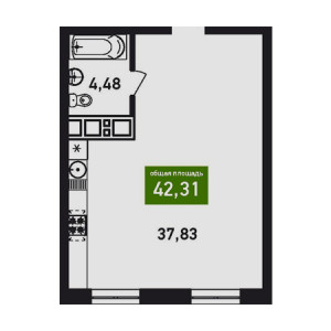 1 комнатная 42.31м²