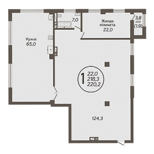 1 комнатная 220.2м²