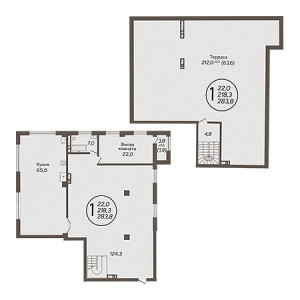 Пентхаус 283.8м²